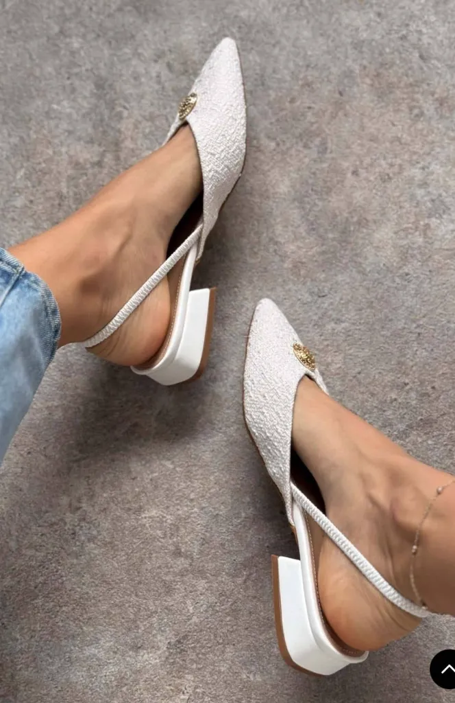 WhatsApp Image 2026-02-17 at 6.30.27 PM (1) (1).webp