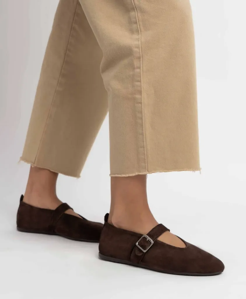 WhatsApp Image 2026-02-17 at 6.43.51 PM (1) (1).webp