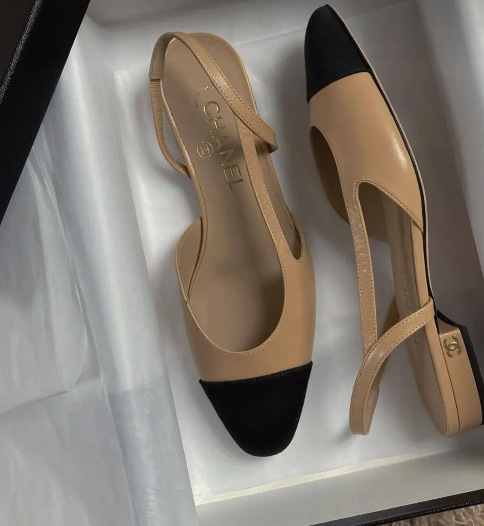 WhatsApp Image 2026-02-17 at 6.43.53 PM (2) (1).webp