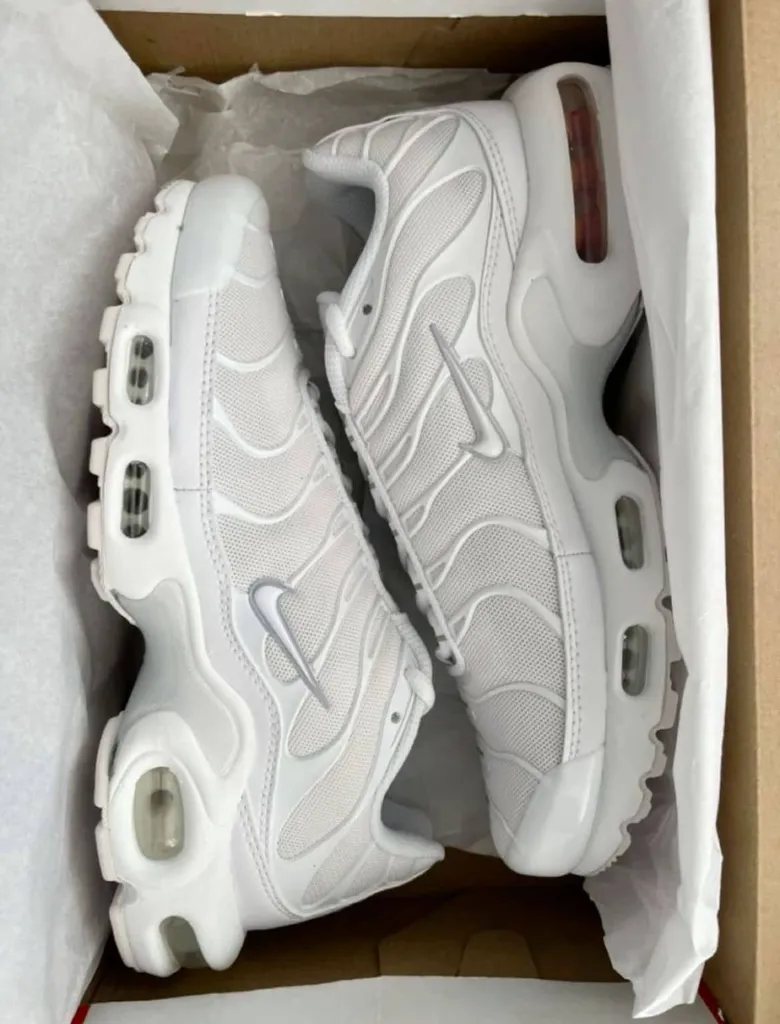 WhatsApp Image 2026-02-20 at 4.03.03 PM (3) (2).webp