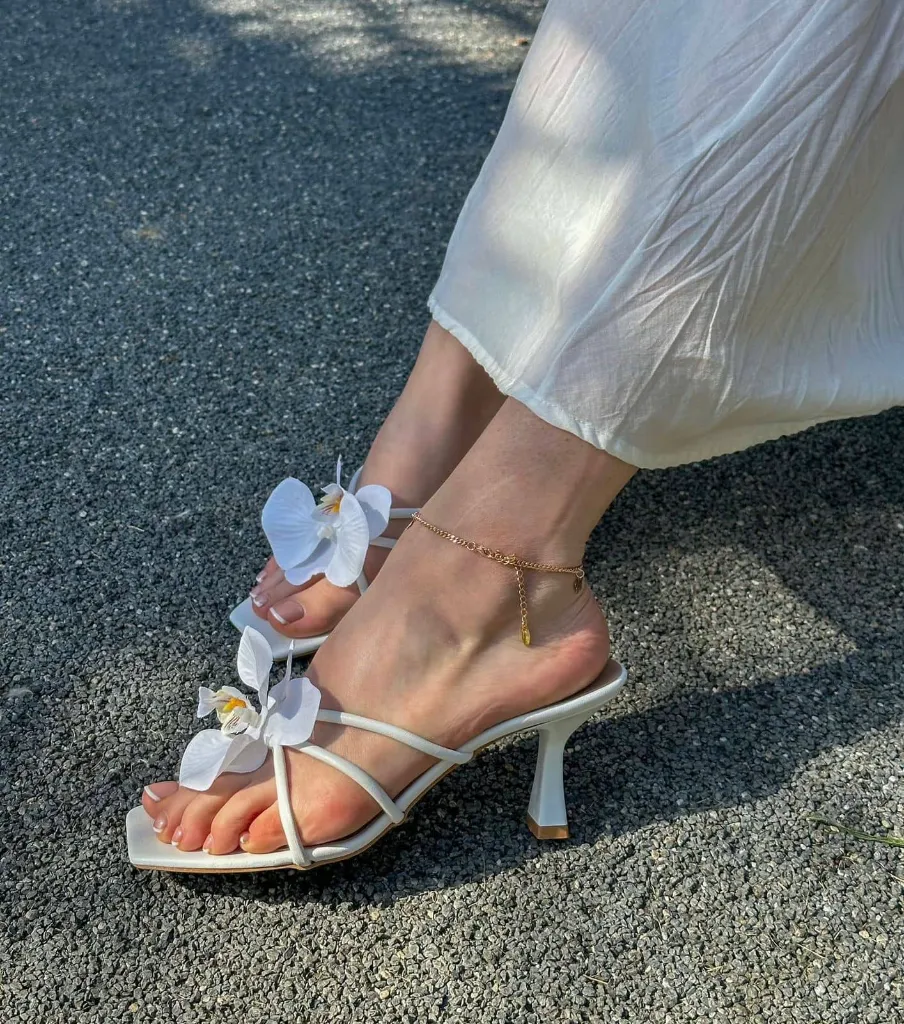 WhatsApp Image 2026-04-25 at 5.30.47 PM (1) (1).webp