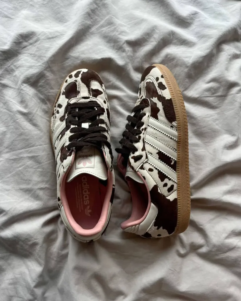 WhatsApp Image 2026-02-05 at 9.18.47 AM (2) (1).webp