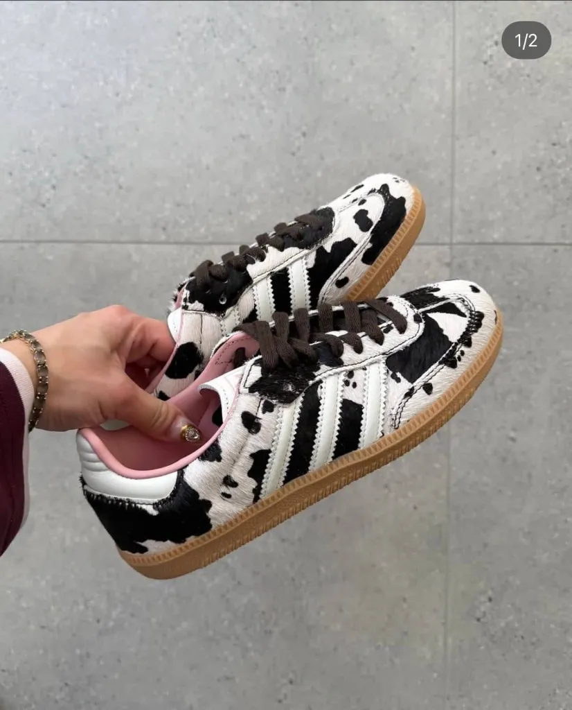 WhatsApp Image 2026-02-05 at 9.18.47 AM (3).webp