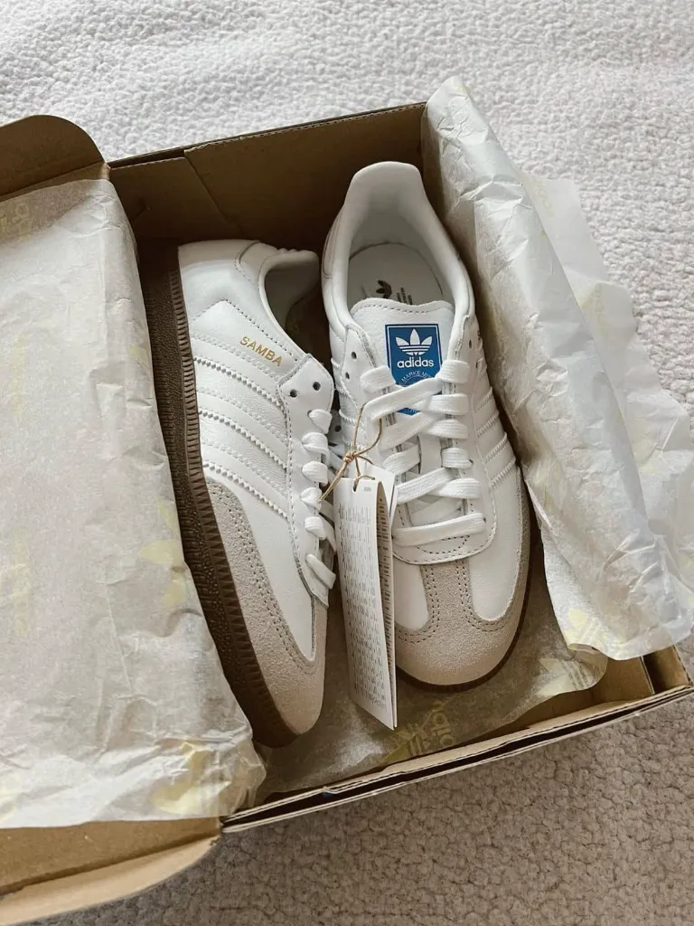 WhatsApp Image 2026-02-07 at 9.31.18 AM (2).webp