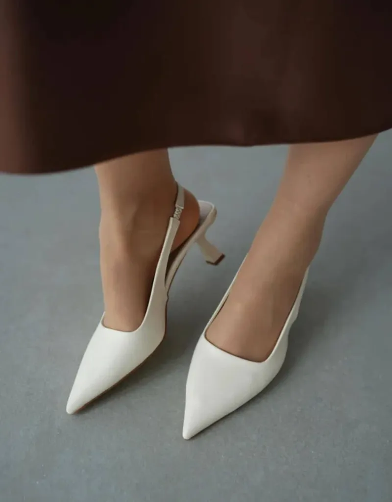 WhatsApp Image 2026-02-06 at 9.16.06 AM (1).webp