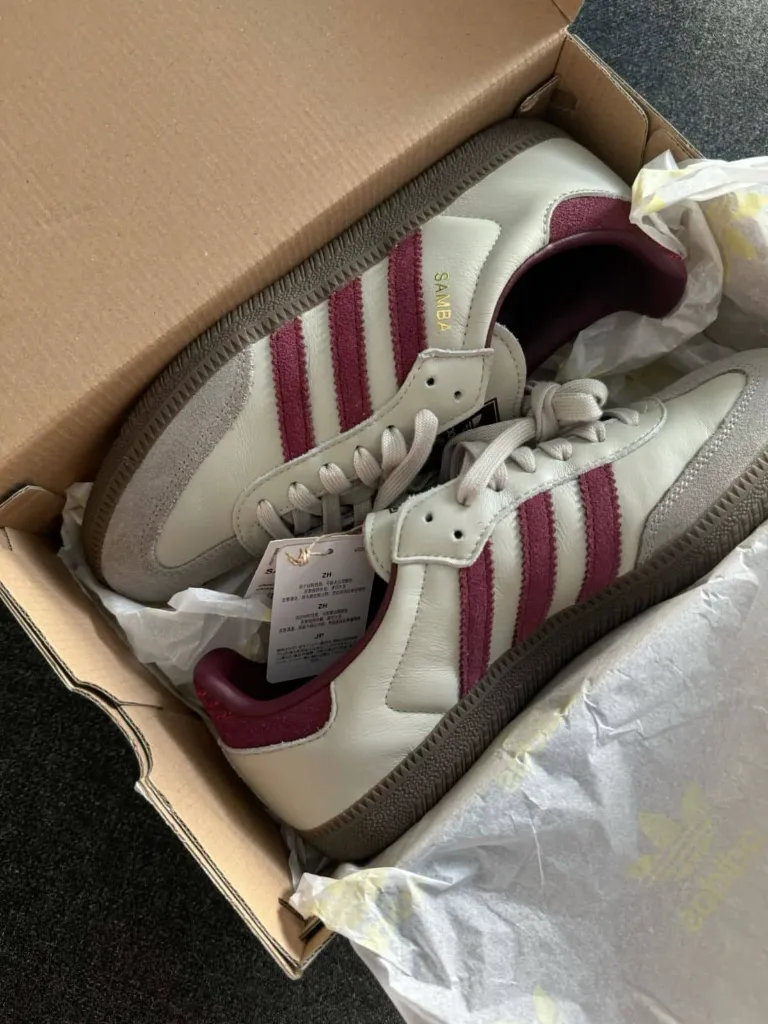 WhatsApp Image 2026-02-08 at 9.24.18 AM (2).webp