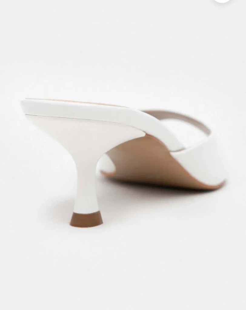 WhatsApp Image 2026-02-12 at 9.49.17 AM (3) (1).webp