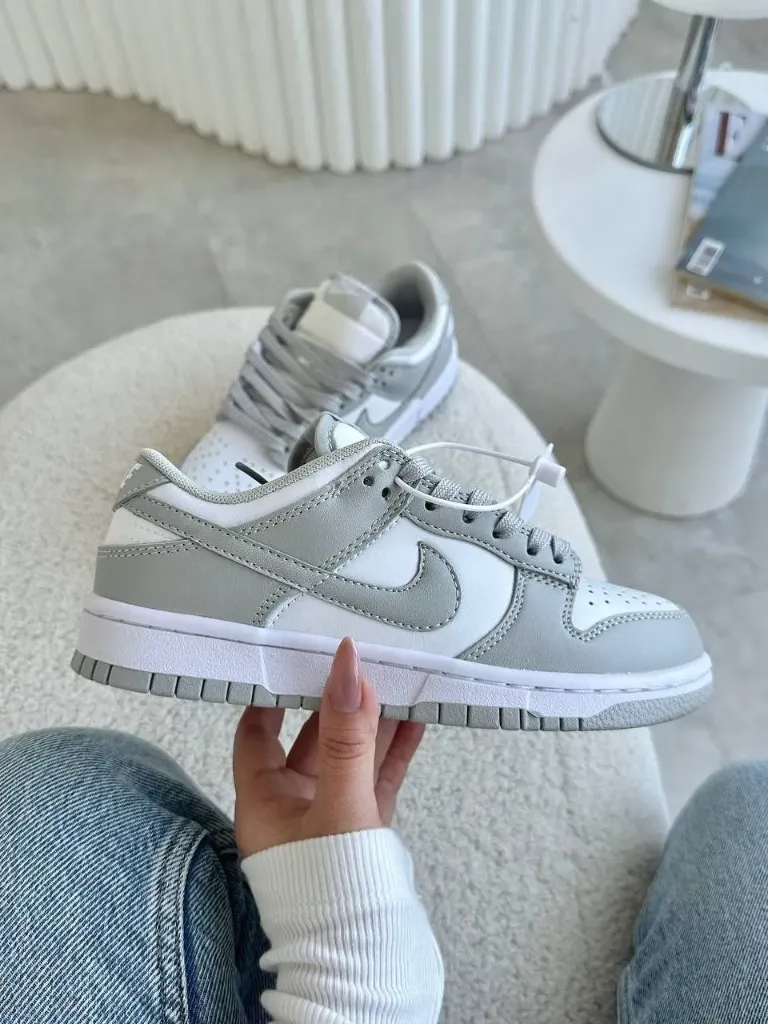Nike dunk grey