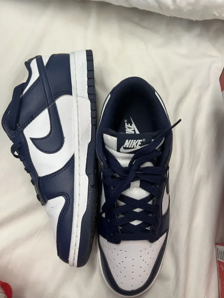 Nike dunk navy