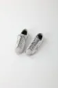 Golden goose gold silver