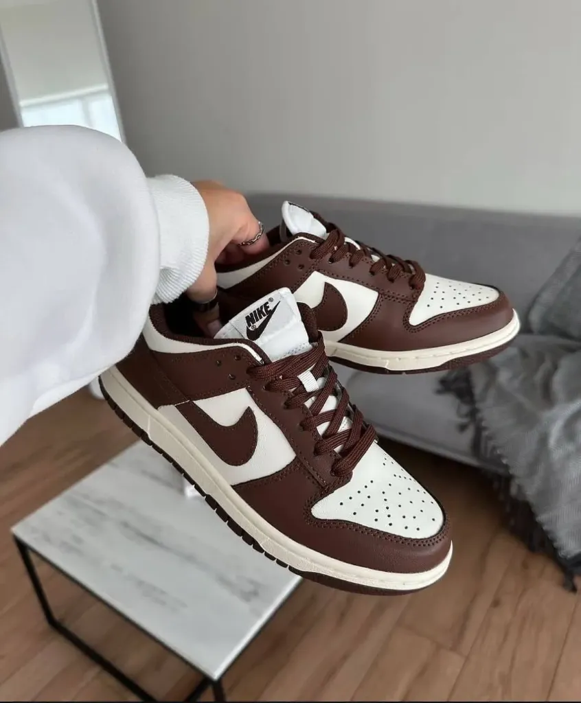 Nike dunk brown