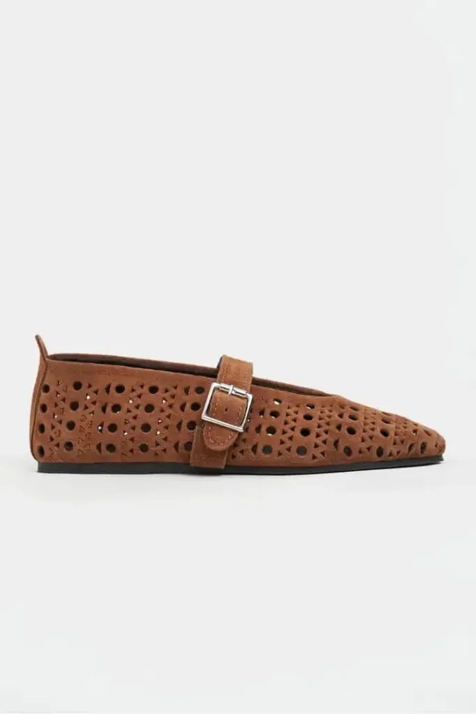 Fallon camel