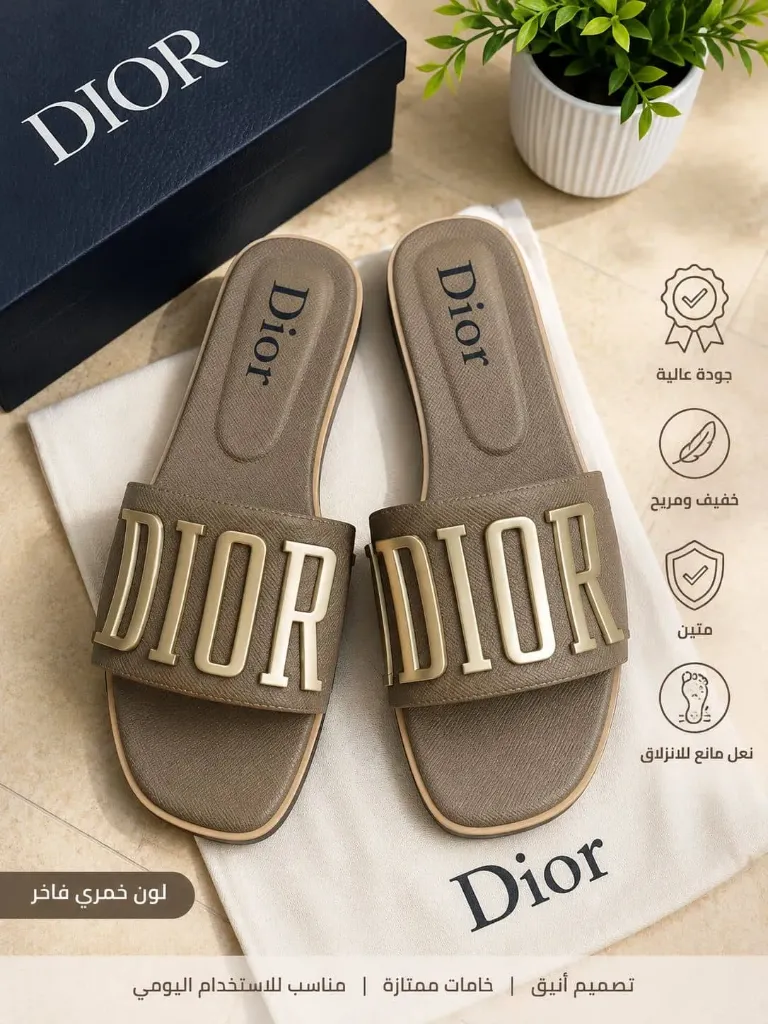 Dior od slipper brown